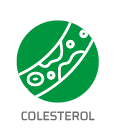 Colesterol